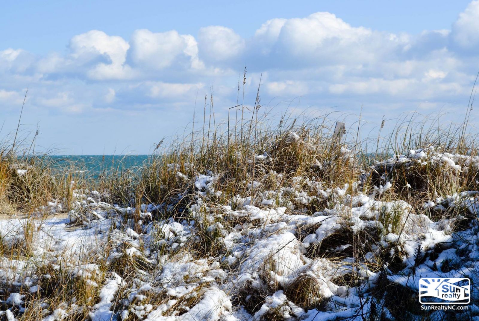 Snow on the beach grass, Outer Banks