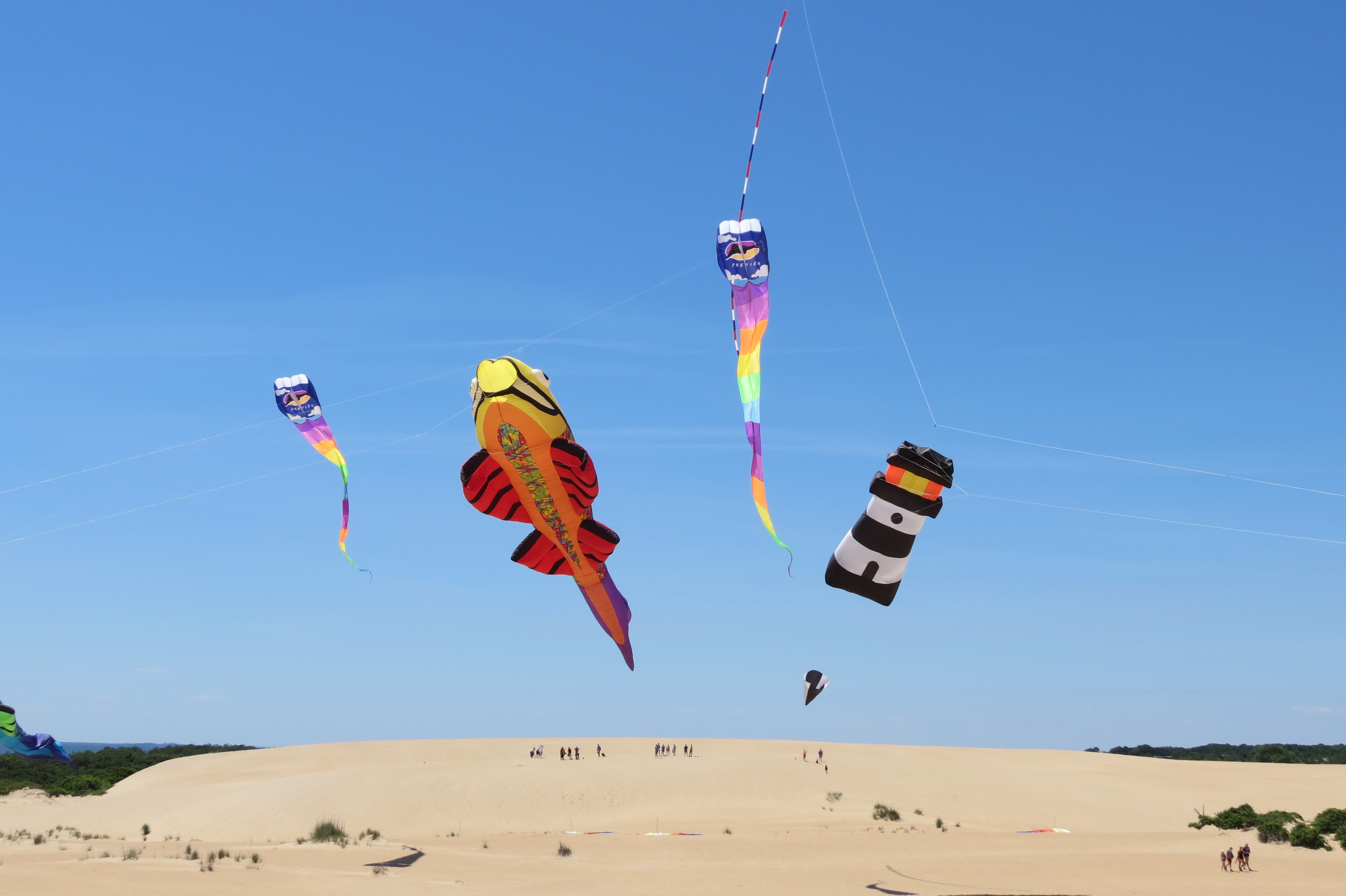 Large show kites fly through the sky during the Outer Banks Kite Festival Kites at Jockey's Ridge