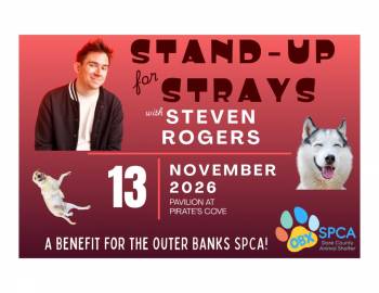 Stand-Up for Strays