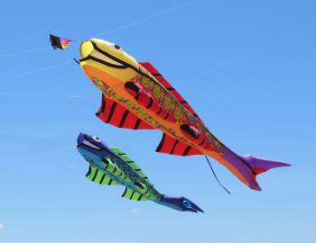 Wright Kite Festival