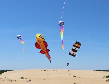 Jockey's Ridge Kites Jockey's Ridge Kites