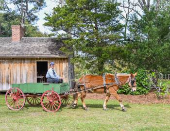 Island Farm on Roanoke Island