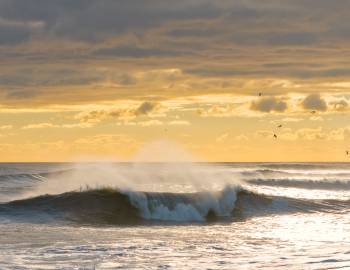 Waves Waves