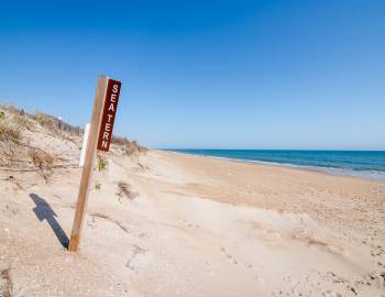 Vacation Rentals Duck NC Beaches