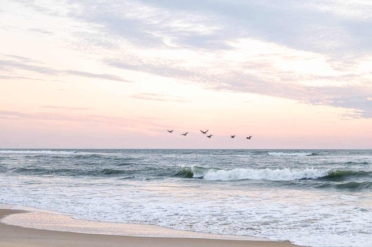 Kitty Hawk NC Rentals Outer Banks Vacation Rental Homes