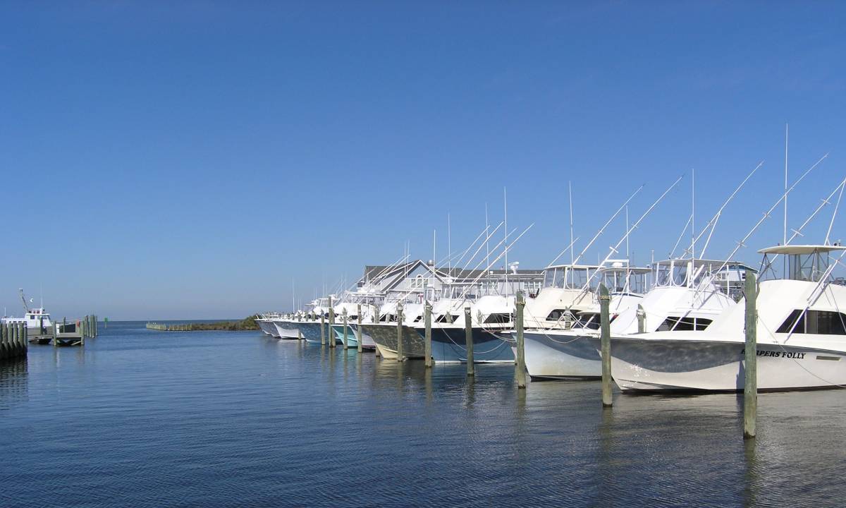 Outer Banks Charter Fishing Sun Realty