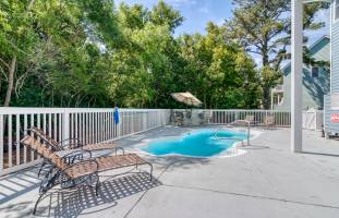 Three Little Birdies 