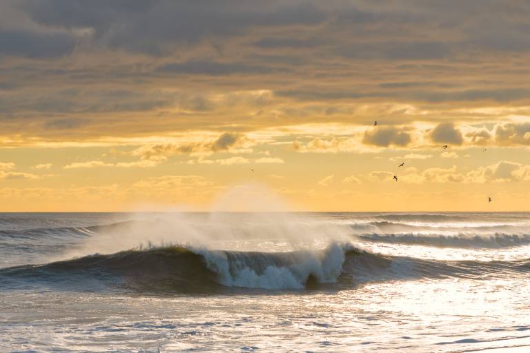 Outer Banks Waves
